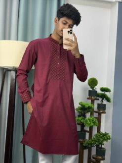 Embroidery Panjabi (E-103)