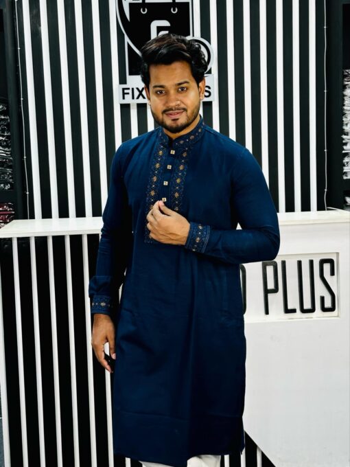 Embroidery Panjabi (E-101)