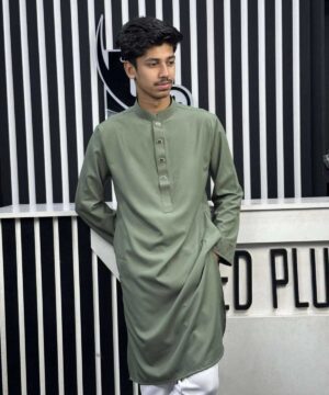 Alternative view of Formal Panjabi Olive (FP-2)