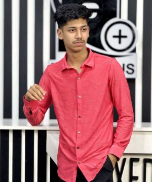 Chinese High Spandex Casual Shirt (CHSCS-29)