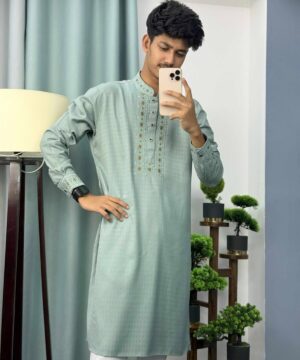 Alternative view of Embroidery Panjabi (E-100)