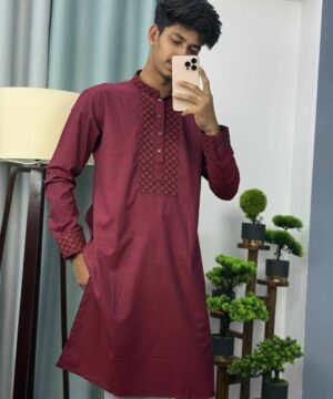 Embroidery Panjabi (E-103)