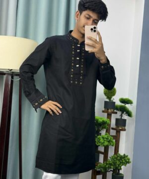 Embroidery Panjabi (E-102)