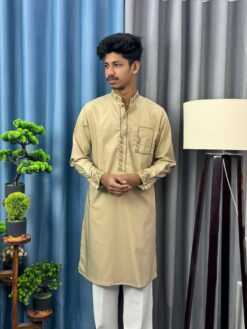 Alternative view of Shehnai Embroidered Panjabi (SEP-1)