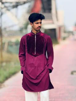 Alternative view of Premium Chinese Spandex Panjabi with Velvet Contrast ( PCV-2 )