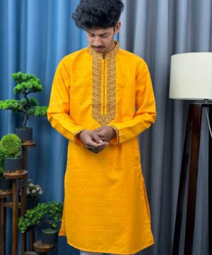 Alternative view of Embroidery Panjabi (EP-2)