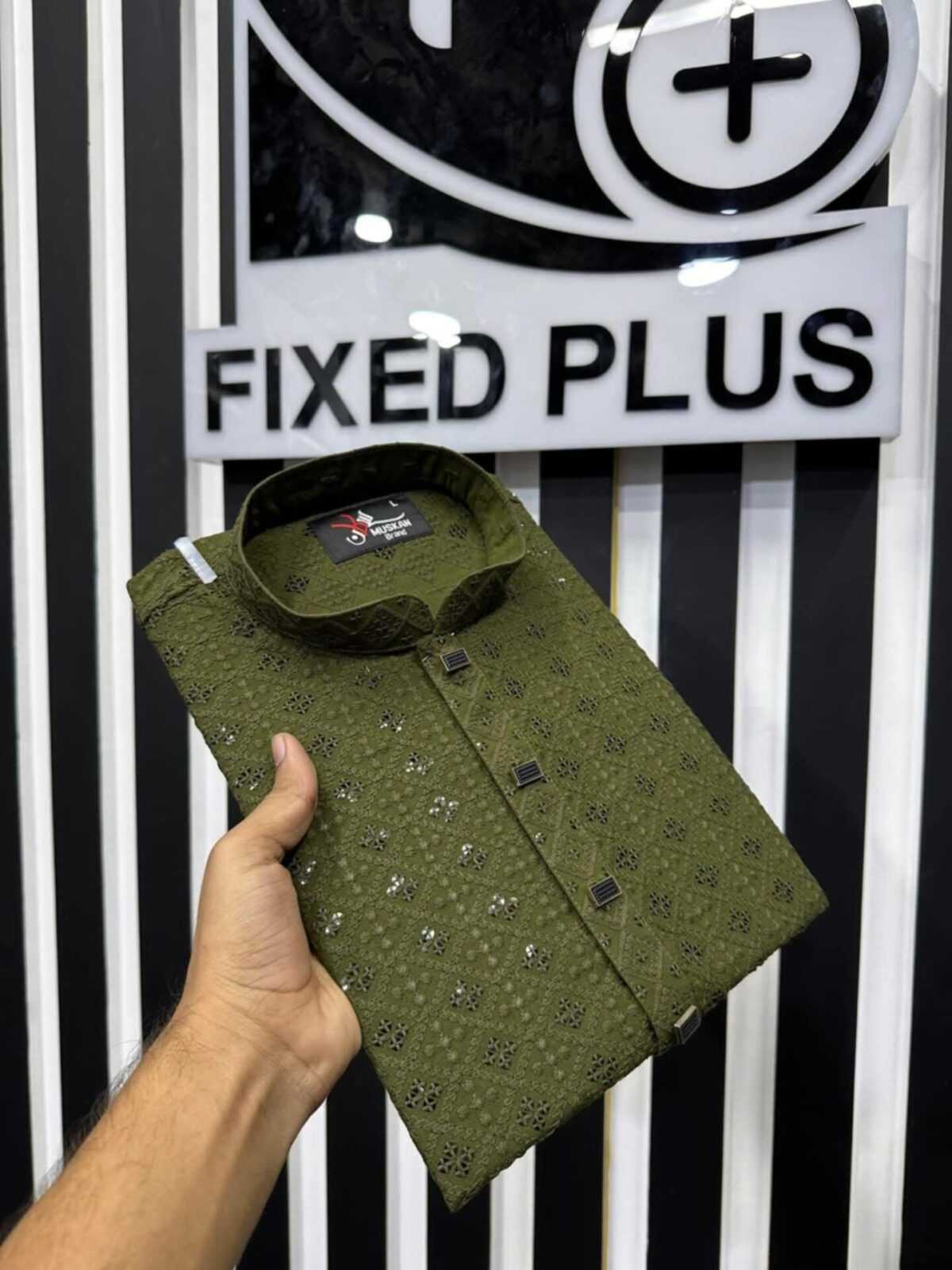 Sequence Panjabi Olive (SP-17)